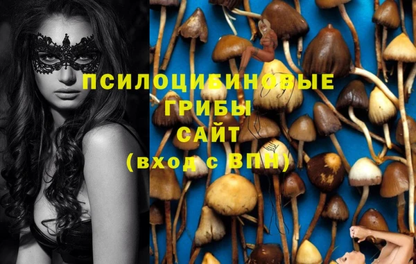 прущая мука Куйбышев