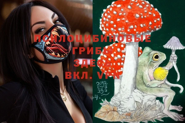ECSTASY Коряжма