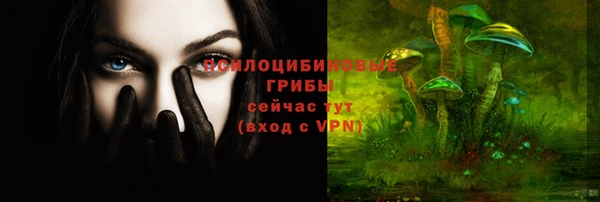 стаф Козельск
