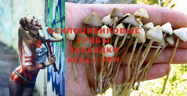 мяу мяу мука Краснослободск