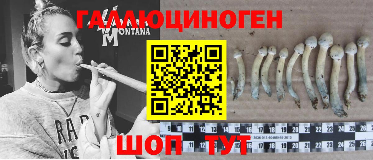 Псилоцибиновые грибы GOLDEN TEACHER  Вход с VPN  Краснотурьинск 