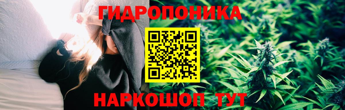 Бошки марихуана конопля Краснотурьинск